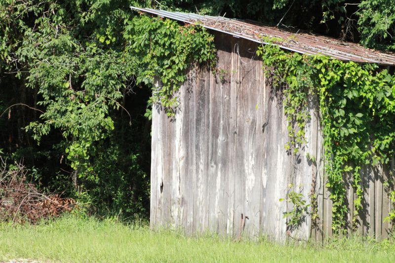 Shed Demolition in Sacramento, CA